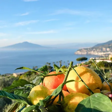 Sorrento Hills-3