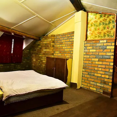 The Alpine Guest House-2