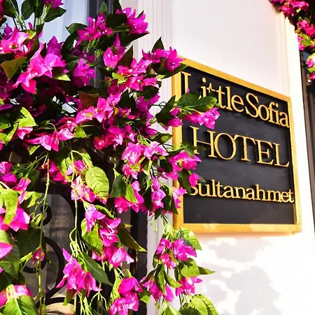 Little Sofia Hotel-2