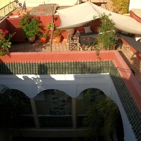 Riad Bel Haj-3