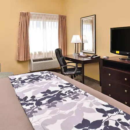 Sleep Inn & Suites Downtown Houston Near Convention Center-2