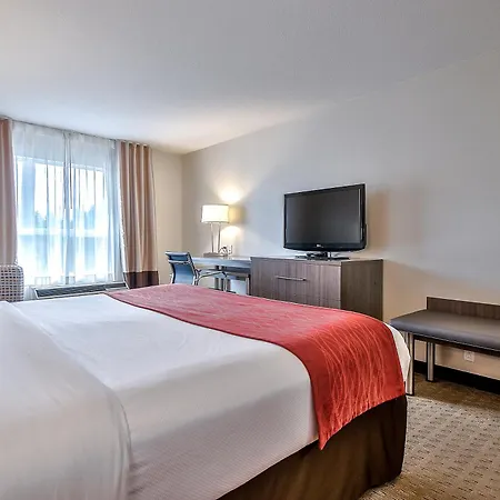 Comfort Inn & Suites South-3