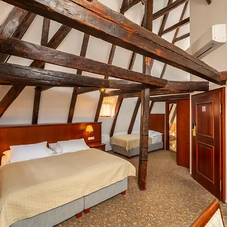 Hotel Cerny Slon-3
