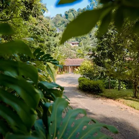 Clove Garden Kandy-3