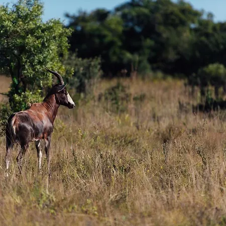 Thaba Eco Hotel-3