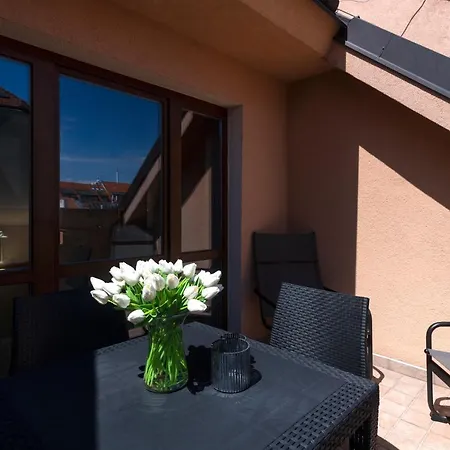 Bohemian Dreams Apartments And Suites By Dwellfort-3