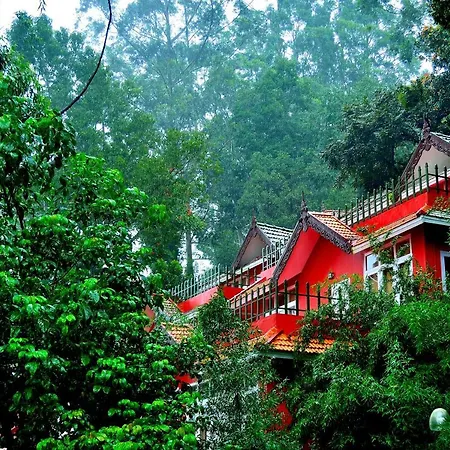 Tea Valley Resort, Munnar-3