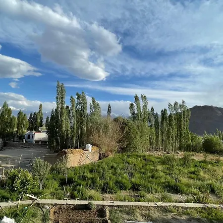 The Willow House-2
