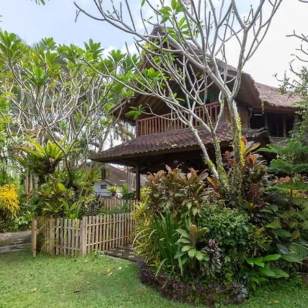 Bali Firefly Bnb-2