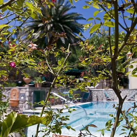 Hotel Villa Sarah-2