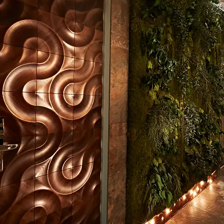 Le Reve De Naim Roma-3