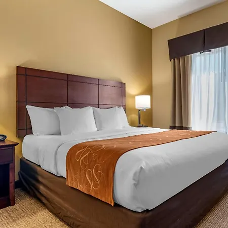 Comfort Suites Airport South-2