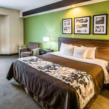 Sleep Inn & Suites Orlando International Airport-3