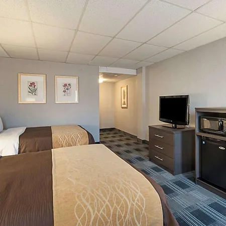 Comfort Inn Ballston-3