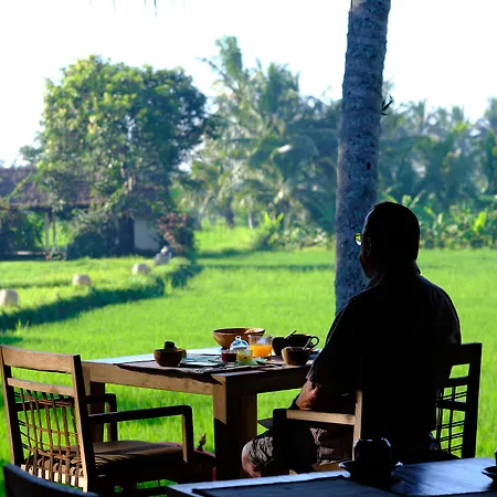 Mathis Retreat Ubud-2