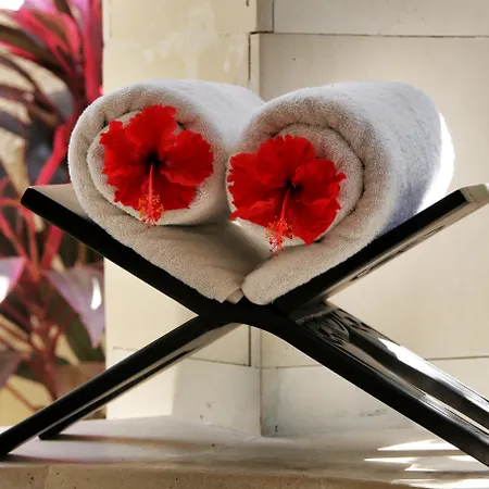 The Sanyas Suite-3