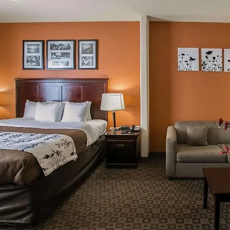 Sleep Inn & Suites Hwy 290-Nw Freeway-3