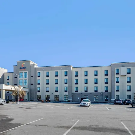 Comfort Suites Near Denver Downtown-2