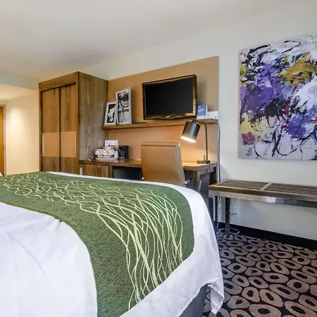 Comfort Inn Raleigh Midtown-2