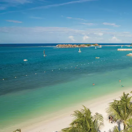 Riu Reggae (Adults Only)-3