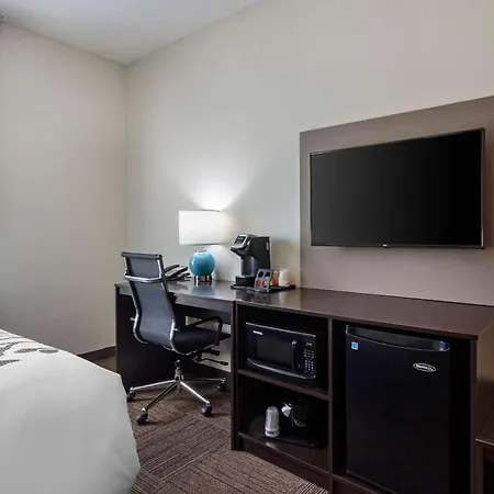 Sleep Inn & Suites Tampa South-3