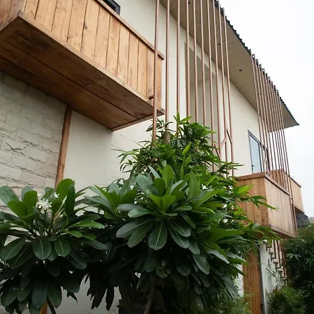 Palm Villas-2