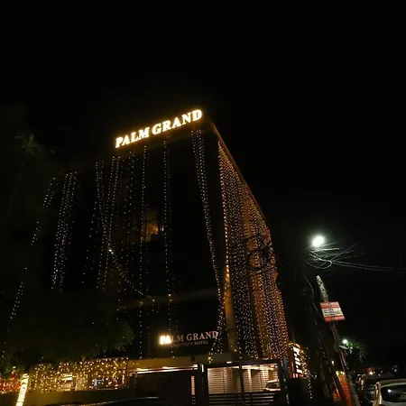 Hotel Palm Grand Naraina New Delhi - Couple Friendly Local Ids Accepted-2