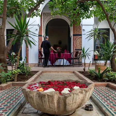 Riyad El Cadi-2