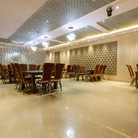 Hotel Tripple Tree - Near Ganga Ram & Blk Hospital - Karol Bagh-3