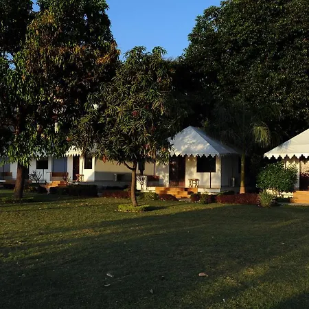 Shree Vilas Orchid - A Pichola Lake Facing Resort-3