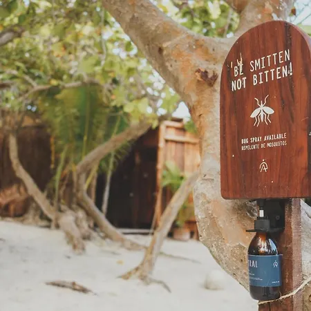 Astral Tulum-2