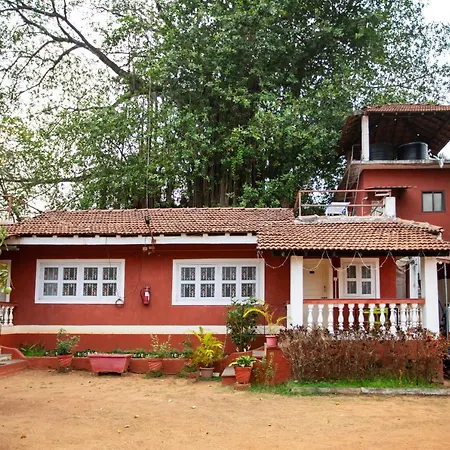 Nomadgao Vila Nova - Social Hotel With Coworking, Fast Wifi, And Goan Charm-3