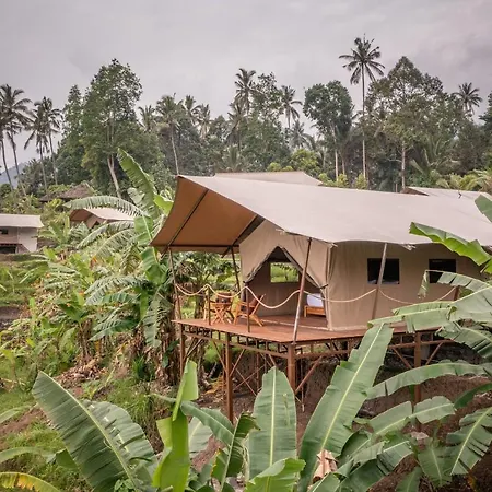 Kaura Bali-3