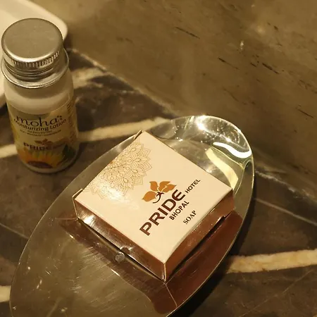Pride Hotel Bhopal-3