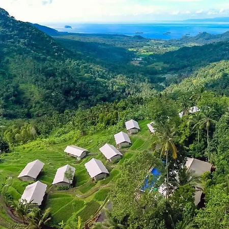 Kaura Bali-2