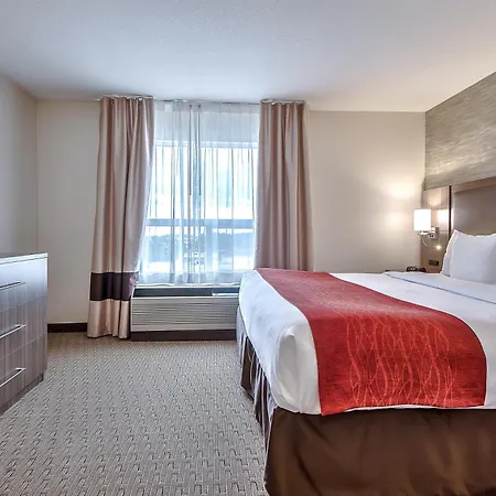Comfort Inn & Suites South-2
