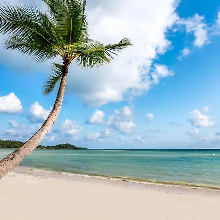 Beyond Samui-3