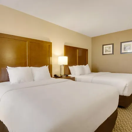 Comfort Inn Airport-3