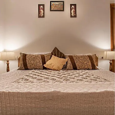 Hills View Paradise ,Shimla-2