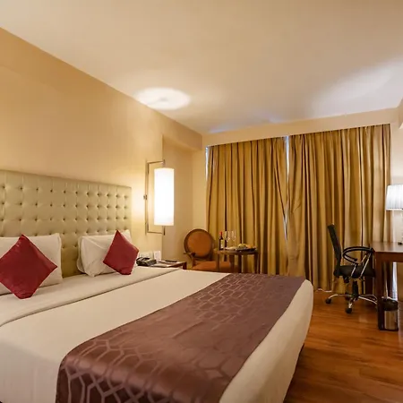 Royal Orchid Central Jaipur, Bani Park-3