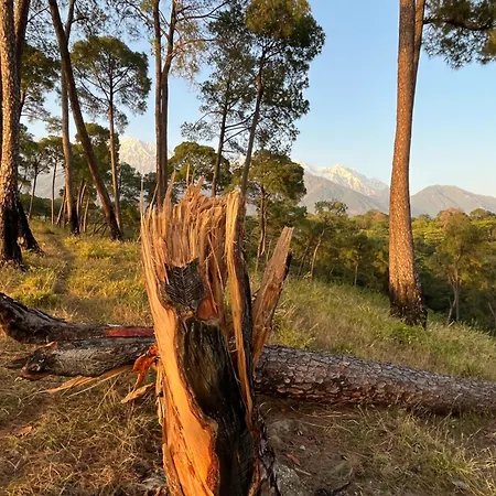 Prakriti Aalay - Riverside Mountain View Boutique Eco Resort-3