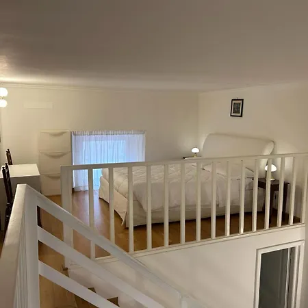 Assunta Domus-2