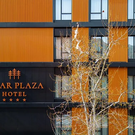 Hotel Pinar Plaza-3