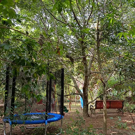 Amritham Holidays Homestay Trivandrum-2