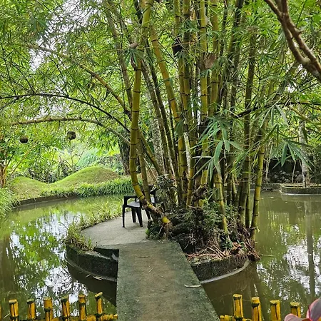 Amritham Holidays Homestay Trivandrum-3