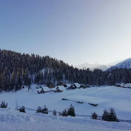 The Gulmarg Palace-2
