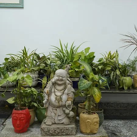 Posh Garden Inn Artemis Hospital Road Gurgaon-2