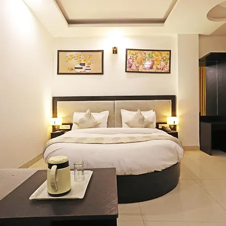 Airport Hotel Swan Near Delhi Airport-2