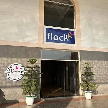 Flamingo Hotel Sector 67 I Studio Rooms I Gurgaon-2