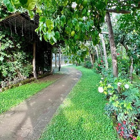 Relais Correale Rooms & Garden-3